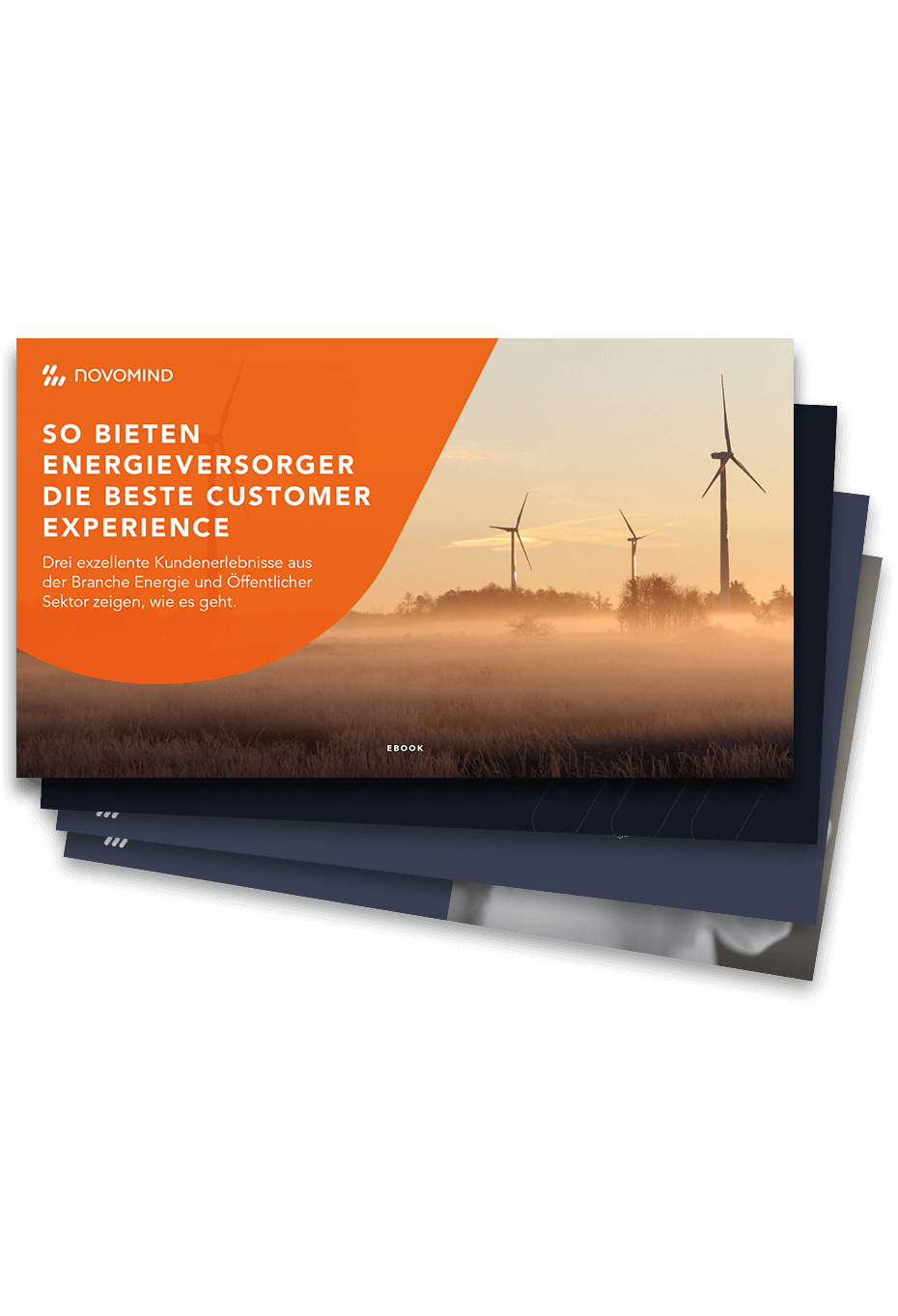 eBook: So bieten Energieversorger die beste Customer Experience eBook: So bieten Energieversorger die beste Customer Experience